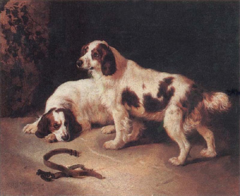 George Horlor Brittany Spaniels